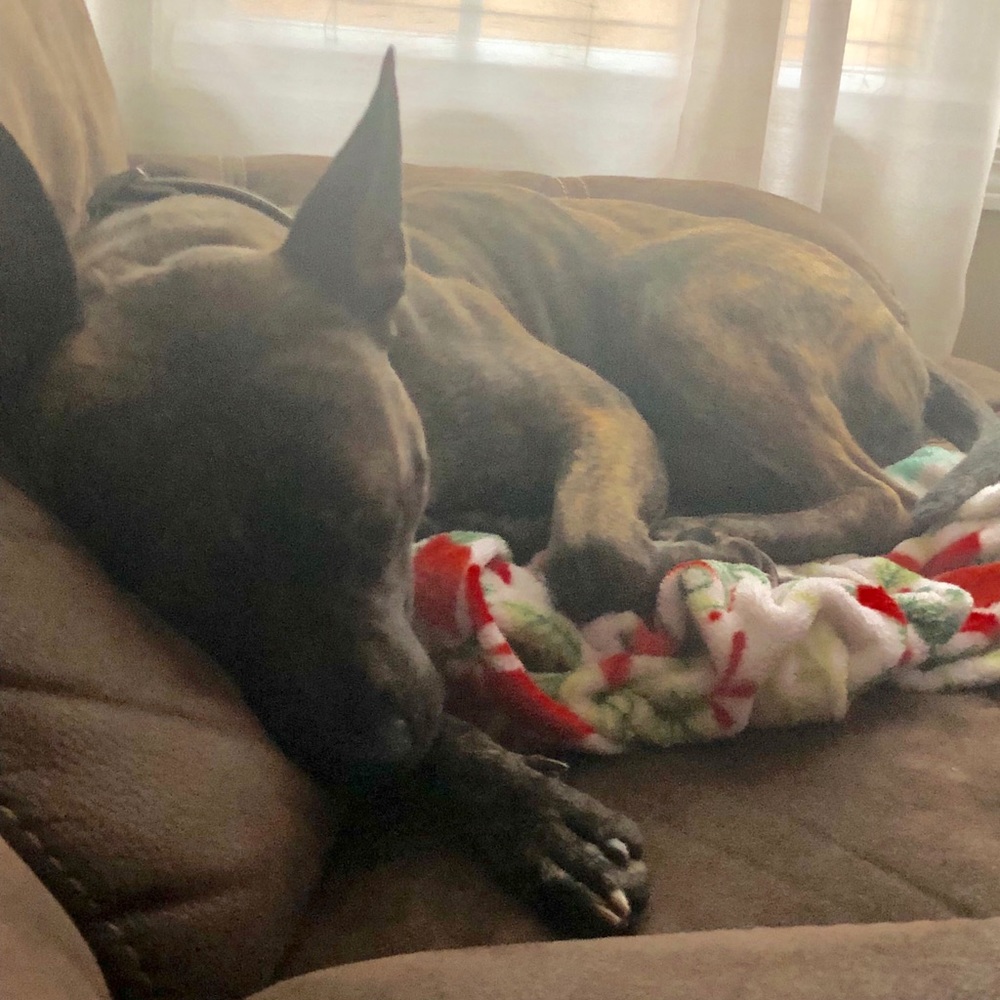 Meet your Posher, Andromeda